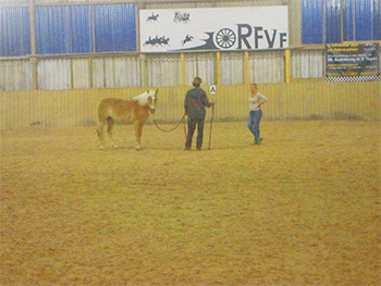 Gideon-Schroeder_Kursangebot Gideon-Schroeder_Kursangebot