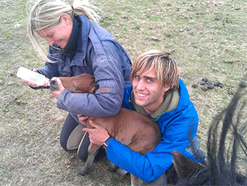 natural_horsemanship_ueber_gideon_schroeder