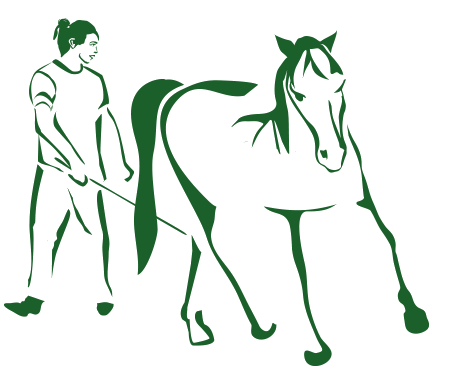 Akademie Sanfte Pferdeführung - Sanftheit, Achtsamkeit, gebissloses Pferdetraining